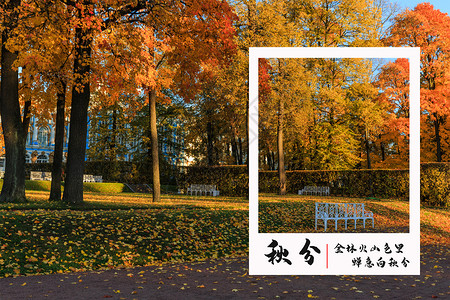 秋分秋景相框高清图片