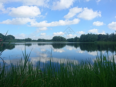 苏州虎丘素材虎丘湿地公园之蓝天白云背景