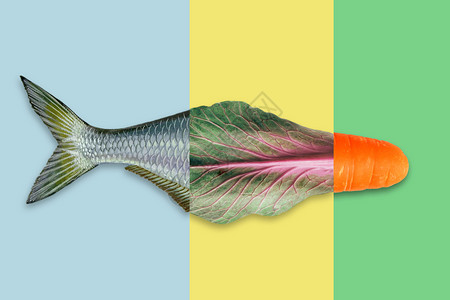 活蹦乱跳的鱼营养均衡设计图片