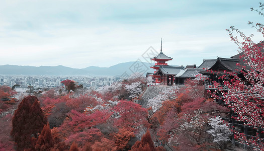 日本建筑清水寺日本京都背景