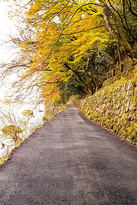 白天马路日本岚山背景