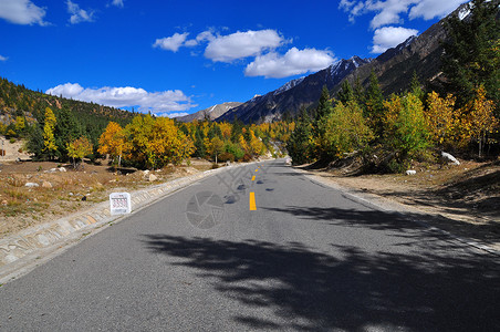 西藏公路 图片