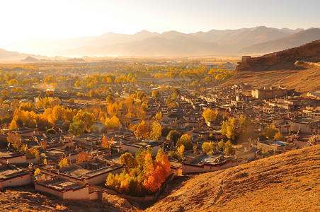 日出油画西藏秋色背景