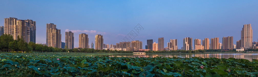 城市建筑风光全景图图片