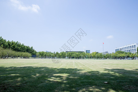 大学校园绿荫草地环境背景图片