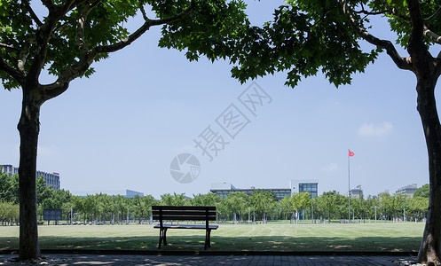 大学校园绿荫草地环境背景图片