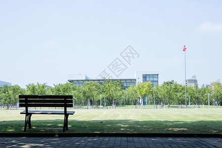 大学校园绿荫草地环境背景图片