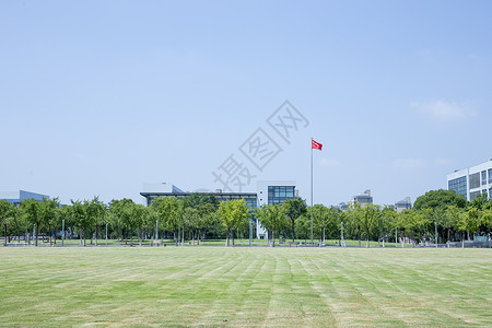 大学校园绿荫草地环境背景图片