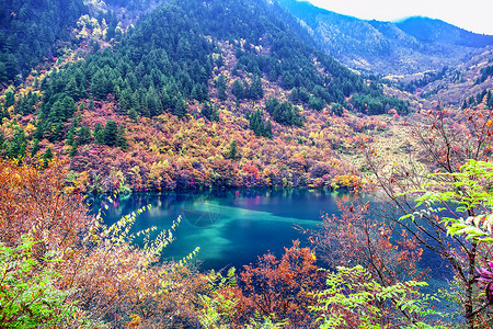 清新优美大自然九寨沟风景背景