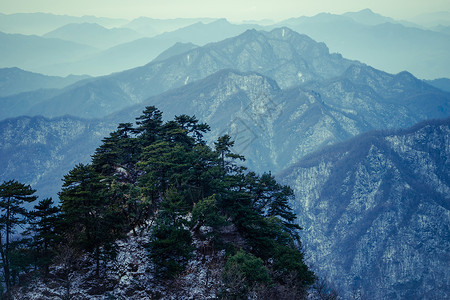 道教圣地武当山清晨雪景风光背景图片