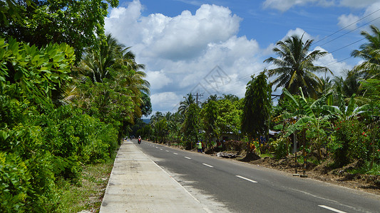 菲律宾薄荷岛热带雨林背景图片