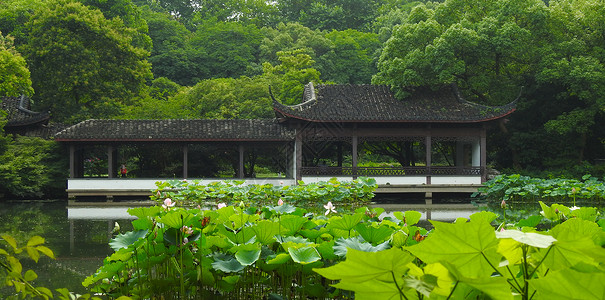 园绿植木地板园林中的古建筑背景