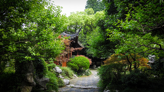 春天小路绿意盎然的中国园林背景