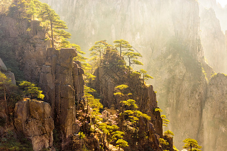 黄山区黄山风光背景