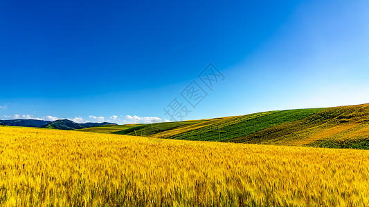 加拿大农业新疆昌吉自然风光背景