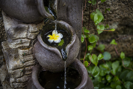 落花有情流水无情背景图片