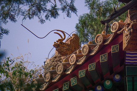 房檐龙老北京的房檐背景