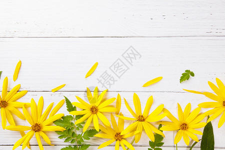 漂浮黄花瓣鲜花背景背景