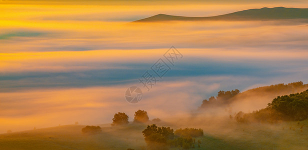 清晨的云雾图片