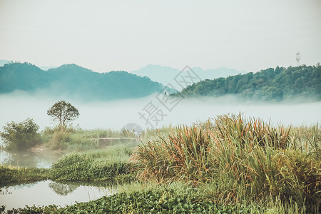 群山的晨雾意境湖草高清图片