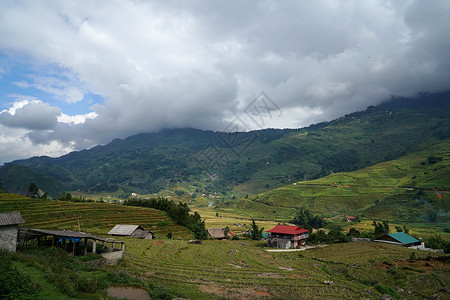 越南沙坝山地茅屋梯田图片