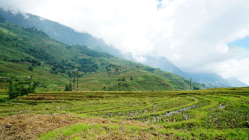 越南沙坝山地梯田图片