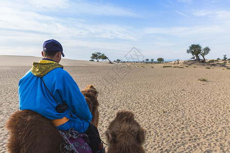 沙漠里骑行骆驼背景图片