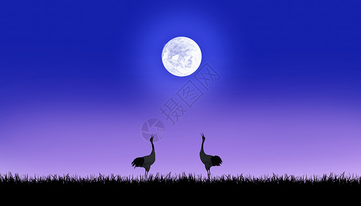 月光下守望月光下的仙鹤背景