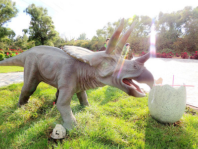 恐龙模型黑龙江森林植物园高清图片