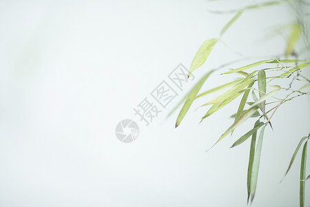 留白玻璃中国风极简竹子背景