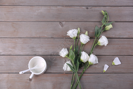 白色桔梗花 鲜花背景图片