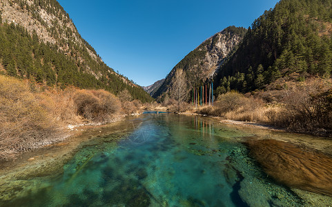 四川九寨沟草海风光高清图片