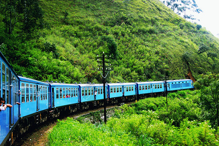结伴行驶在斯里兰卡高山茶园的火车背景