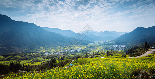 金黄色花朵江西婺源春季油菜花田背景