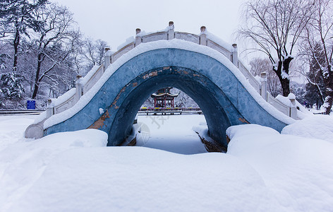 冬天浪漫的雪景中的桥背景图片