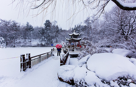 冬天浪漫的雪景图片