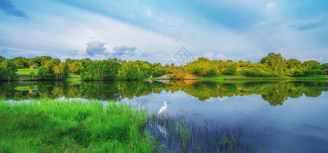 湖畔美景云彩白鹭鸭高清图片