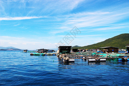 海上人家海上养殖高清图片