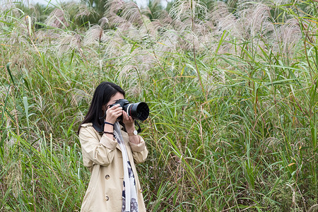 秋天武汉江滩芦苇拿相机少女背景图片