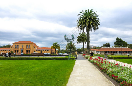 新西兰罗托鲁阿政府花园背景图片
