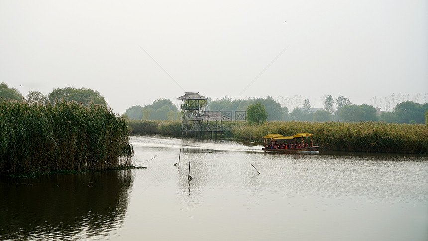 盐城大纵湖风景区湿地图片