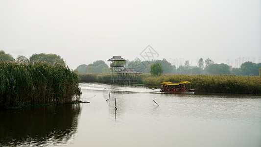 盐城大纵湖风景区湿地背景图片