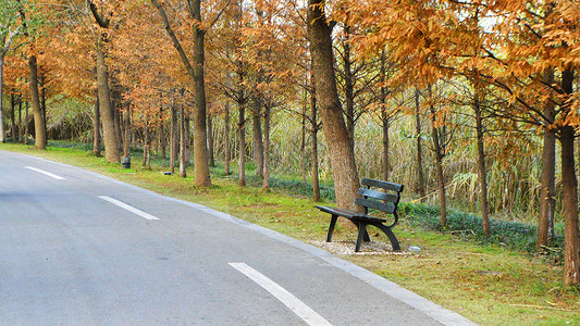 常熟沙家浜风景区道路背景图片