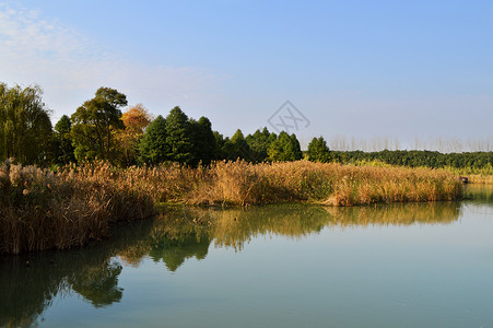 常熟沙家浜风景区背景图片