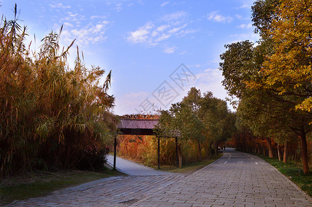 常熟沙家浜风景区背景图片