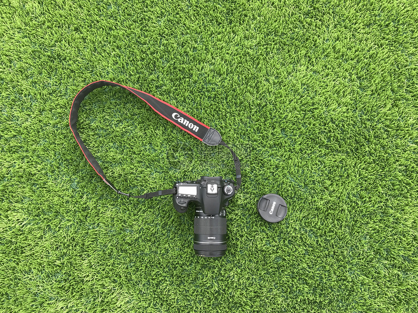 草坪上的单反相机图片