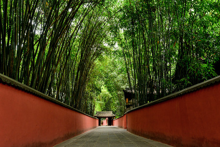 新中式围墙成都杜甫草堂内的红墙竹林背景