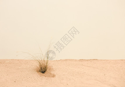 沙漠荒草极简背景素材图片