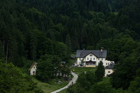 别墅山山林中的一栋古堡酒店背景