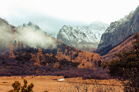 从你的全世界路过秋季稻城亚丁风光背景